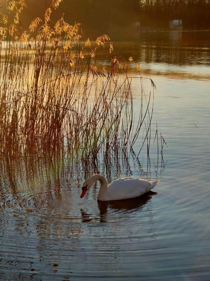 Tramonto Al Lago Lejlighed Gavirate Eksteriør billede